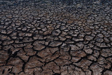 dry soil texture in the dry season