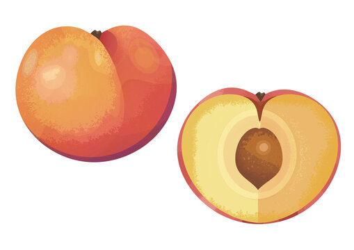 Illustrated peach sliced whole graphic icon isolated on a white background