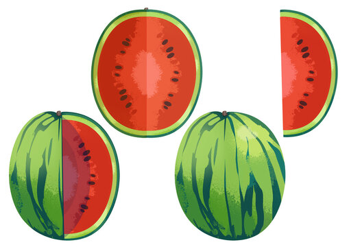 Illustrated watermelon sliced whole graphic icon isolated on a white background