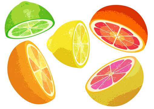 Illustrated assorted sliced citrus fruits graphic icon isolated on a white background