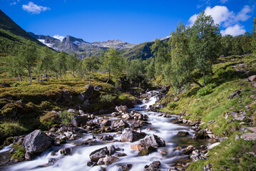 Norwegian mountain landscape. Summer.