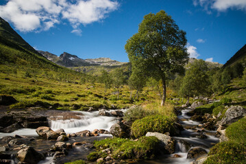 Norwegian mountain landscape.