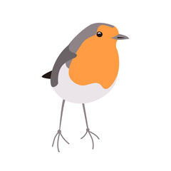 Cute robin bird. Cartoon isolated vector illustration