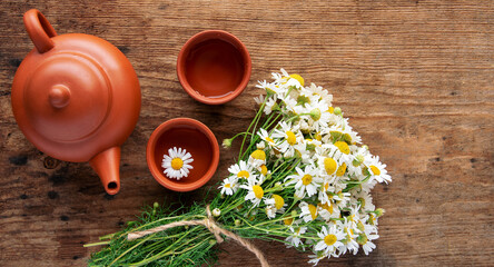 cup of herbal chamomile tea and fresh chamomile, camomile flowers