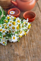 cup of herbal chamomile tea and fresh chamomile, camomile flowers