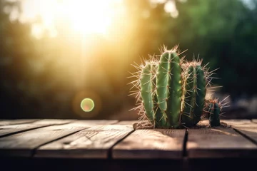 Fototapeten cactus with nature background, close up © waranyu