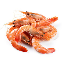 fresh shrimps on white background