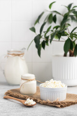 Natural dairy products. cottage cheese, milk, yogurt
