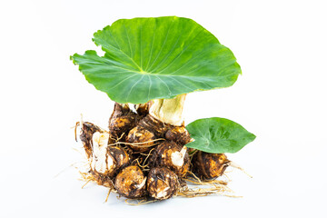 Fresh taro on white background