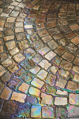 Rainbow-Colored Cobbled Ground After Rain