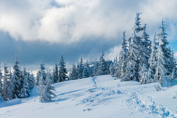 Fototapeta na wymiar Real winter in the mountain wilderness.