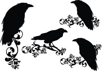 black raven birds with rose flower stems vector silhouette design set