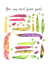 Watercolor png vegetable poster. Handdrawn fresh veggies. Colorfull bright summer set for print. Soya and peas