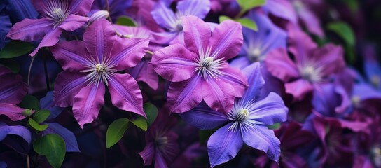 A Beautiful Bouquet of Purple Blooms Amongst Lush Green Foliage Created With Generative AI Technology