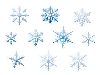 Fototapeta na wymiar Set of different snowflakes isolated on white background1