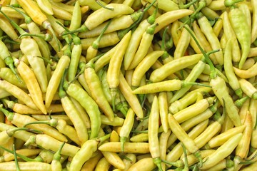yellow chili peppers. yellow hot chili peppers background. Colorful chili peppers. Spicy yellow chili peppers. Top view pile of fresh chilli.