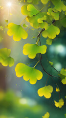 Obraz premium Ginkgo biloba leaves leaves background