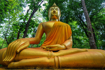 Golden Buddha statue in Forest