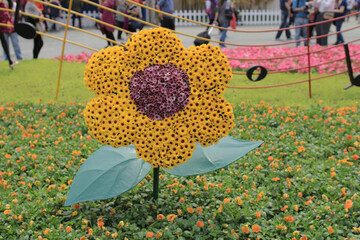 a Flower show hong kong at Victoria Park