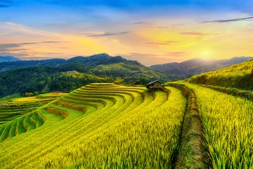 Fotobehang Beautiful Rice terraces at Mam xoi viewpoint in Mu cang chai, Vietnam. © tawatchai1990