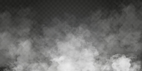 Fog or smoke isolated transparent special effect. White vector cloudiness, mist or smog background. Vector illustration