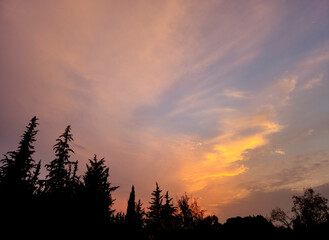 The silhouettes of trees at a sunset time in November