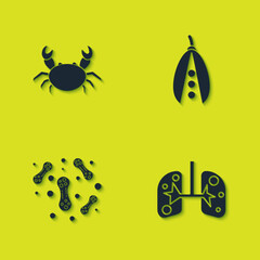 Set Crab, Lungs, Bacteria and Kidney beans icon. Vector