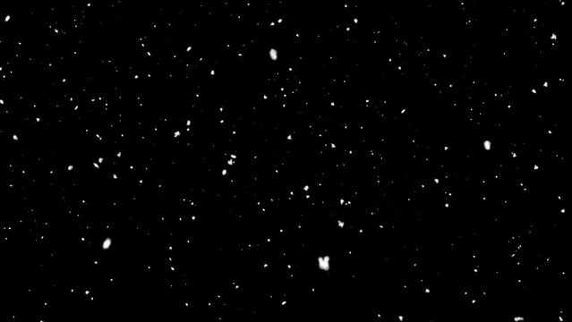 
snow Falling  or snow against a black background
