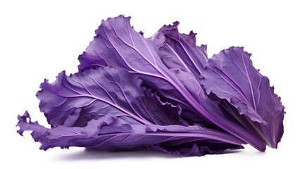 Obraz premium purple cabbage isolated on a white background, purple cabbage leaf isolated on a transparent background, Generative AI
