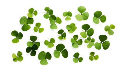 Realistic set of clover leaves isolated on a transparent background, Generative AI
