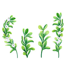 Fototapeta premium Aquarelle picture set of snowberries and green leaves on twigs