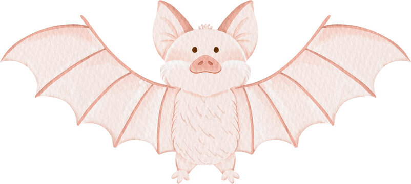 watercolor bat