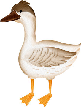 watercolor goose