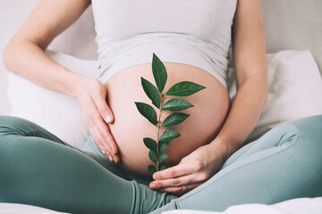 Pregnant woman holds green sprout plant near her belly as symbol of new life, wellbeing, fertility,...