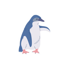 Naklejka premium Penguin icon, flightless seabirds of Antarctica, vector cartoon pole nature animal, arctic fauna wild mammal isolated