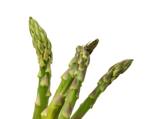 Asparagus on the white background