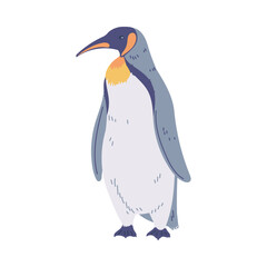 Penguin with yellow collar, big Emperor or King penguin, North flightless seabirds of Antarctica, pole animal vector