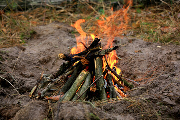 burning wood in campfire