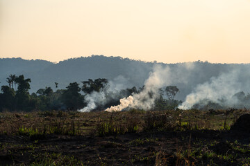 Amazon Rainforest trees on fire with smoke in illegal deforestation to open area for farm agriculture . Concept of co2, environment, ecology, climate change and global warming. Para state, Brazil.	