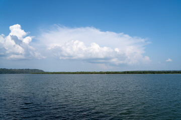 Beautiful panoramic view of Xingu river in the Amazon rainforest on sunny summer day with blue sky. Para state, Brazil. Concept of nature, ecology, climate, climate change, and environment.	
