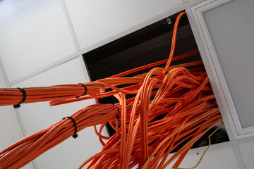 Fiber optic cable prepared for connection. - obrazy, fototapety, plakaty