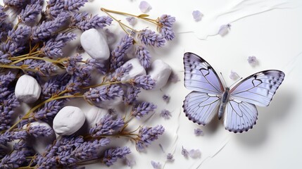 Purple Butterfly On Wild White Violet, HD, Background Wallpaper, Desktop Wallpaper