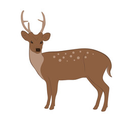 Vector Deer in flat style illustration. Cute and cartoon deer isolated on white background. Christmas reindeer, side view. Forest horny animal. Vector illustration
