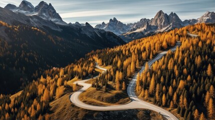Top aerial view of famous Snake road near Passo Giau in Dolomite Alps. Winding mountains road in lush forest with orange larch trees and green spruce in autumn time. Dolomites, Italy - obrazy, fototapety, plakaty