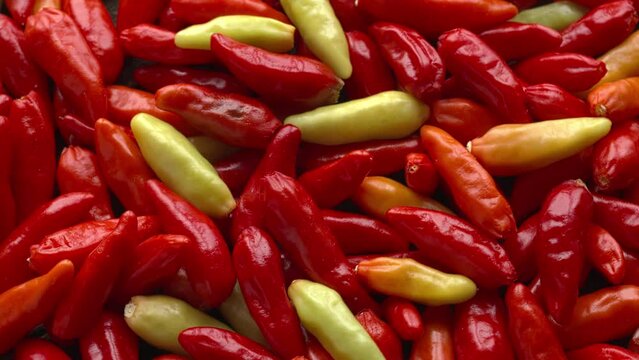 Top view of  tabasco chilies  rotating in a circle. Abstract food texture.