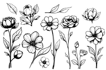 Collection hand drawn plants. Botanical set of sketch flowers and branches Vector