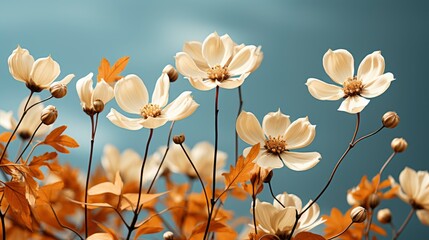 Flowers Toned On Sun Background Spring, HD, Background Wallpaper, Desktop Wallpaper
