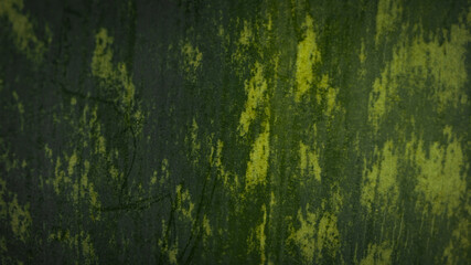 texture, beautiful green abstract background 