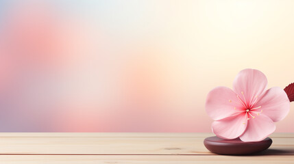 spa still life with pink orchid HD 8K wallpaper Stock Photographic Image