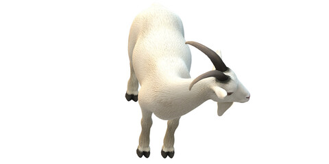 Goat isolated on a Transparent Background